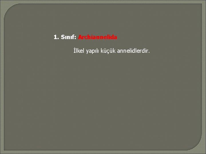 1. Sınıf: Archiannelida İlkel yapılı küçük annelidlerdir. 