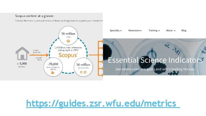 https: //guides. zsr. wfu. edu/metrics https: //guides. zsr. wfu. edu/metrics