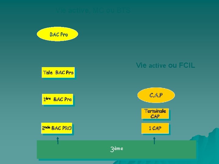 Vie active, MC ou BTS Vie active ou FCIL 3ème 