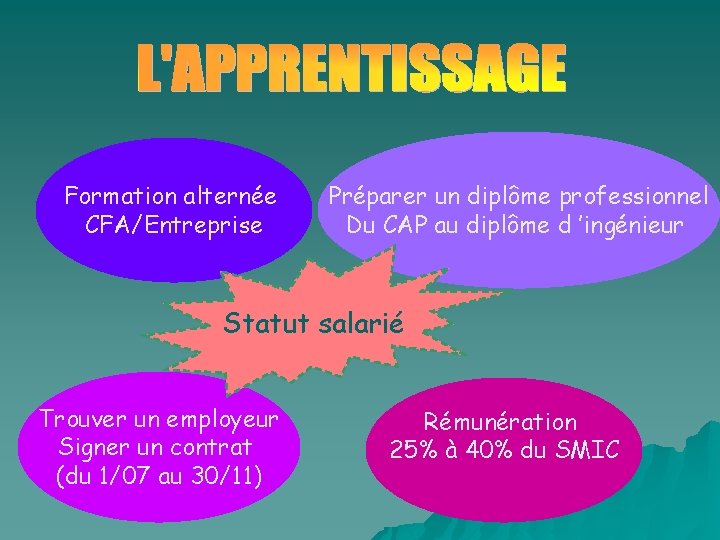 Formation alternée CFA/Entreprise Préparer un diplôme professionnel Du CAP au diplôme d ’ingénieur Statut