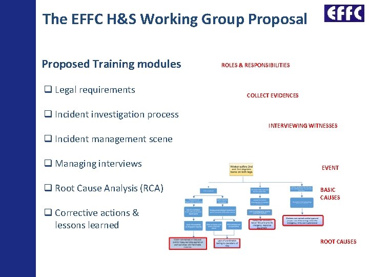 The EFFC H&S Working Group Proposal Proposed Training modules Legal requirements ROLES & RESPONSIBILITIES