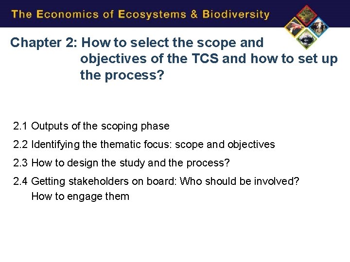 Chapter 2: How to select the scope and objectives of the TCS and how