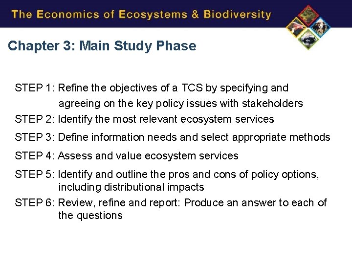 Chapter 3: Main Study Phase STEP 1: Refine the objectives of a TCS by