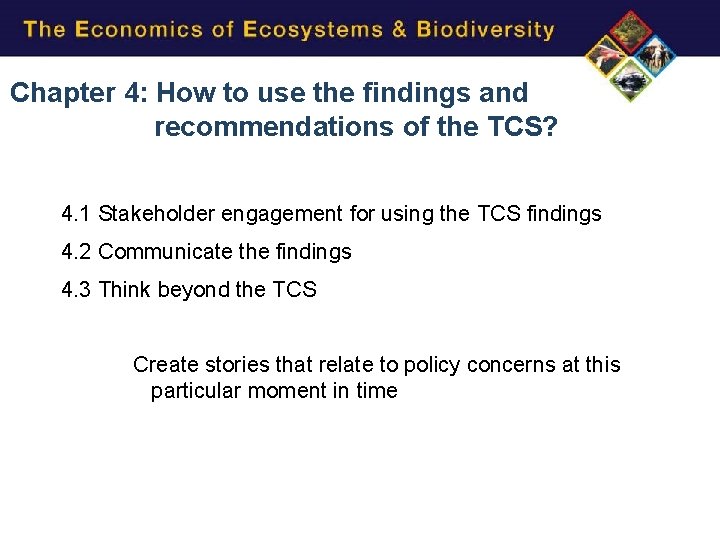 Chapter 4: How to use the findings and recommendations of the TCS? 4. 1