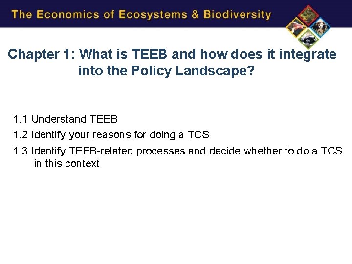 Chapter 1: What is TEEB and how does it integrate into the Policy Landscape?