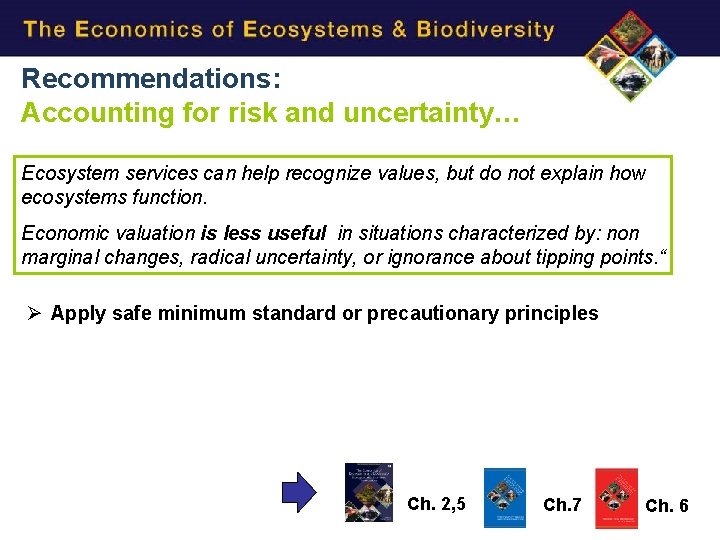 Recommendations: Accounting for risk and uncertainty… Ecosystem services can help recognize values, but do