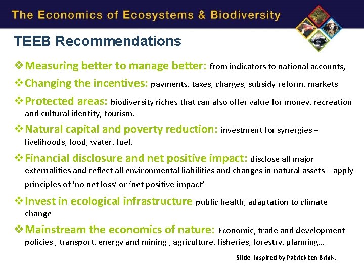 TEEB Recommendations v. Measuring better to manage better: from indicators to national accounts, v.