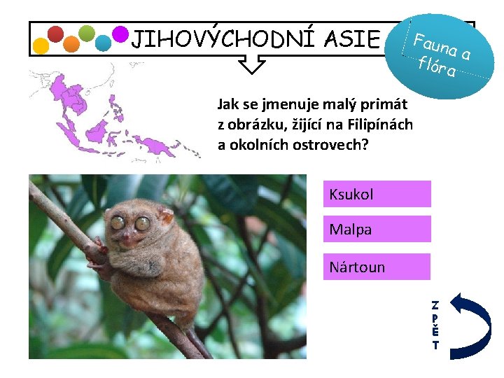 JIHOVÝCHODNÍ ASIE Faun aa flóra Jak se jmenuje malý primát z obrázku, žijící na