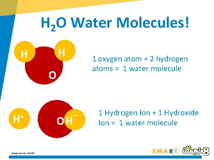 H 2 O Water Molecules! H O O 1 oxygen atom + 2 hydrogen H 2 O Water Molecules! H O O 1 oxygen atom + 2 hydrogen