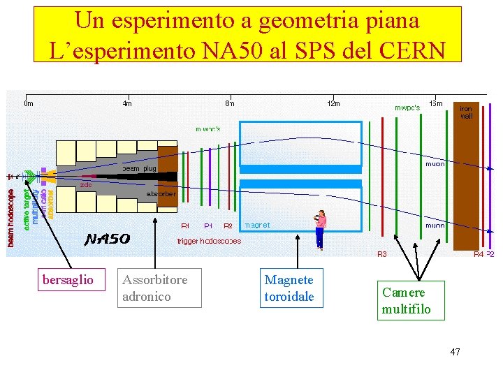 Un esperimento a geometria piana L’esperimento NA 50 al SPS del CERN bersaglio Assorbitore