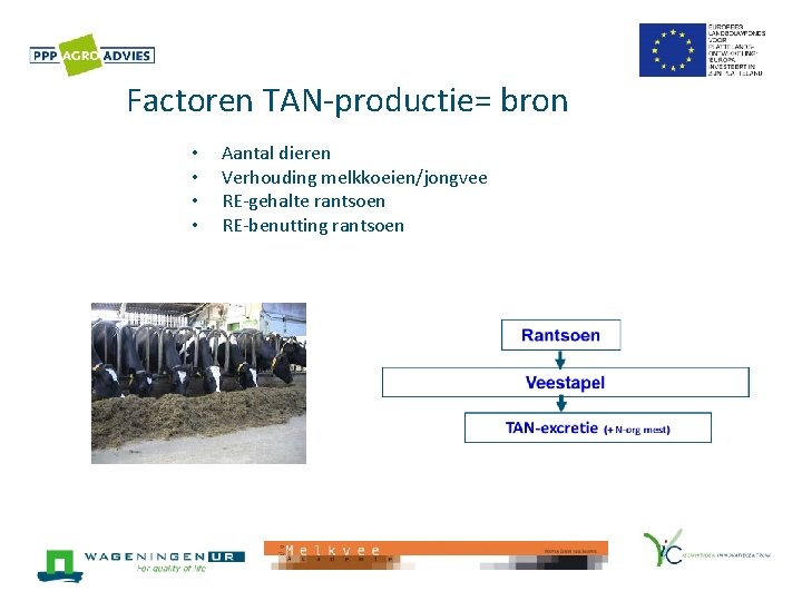 Factoren TAN-productie= bron • • Aantal dieren Verhouding melkkoeien/jongvee RE-gehalte rantsoen RE-benutting rantsoen 