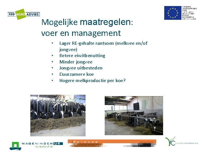 Mogelijke maatregelen: voer en management • • • Lager RE-gehalte rantsoen (melkvee en/of jongvee)