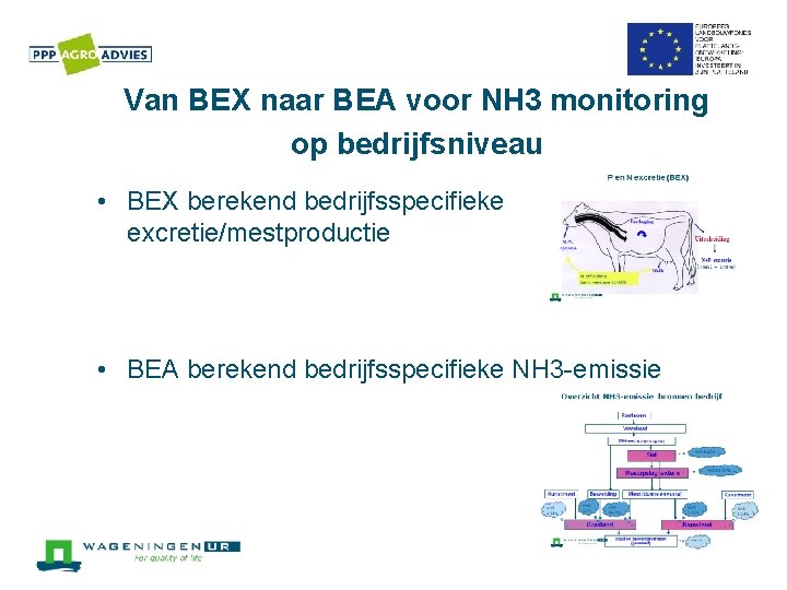 Van BEX naar BEA voor NH 3 monitoring op bedrijfsniveau • BEX berekend bedrijfsspecifieke