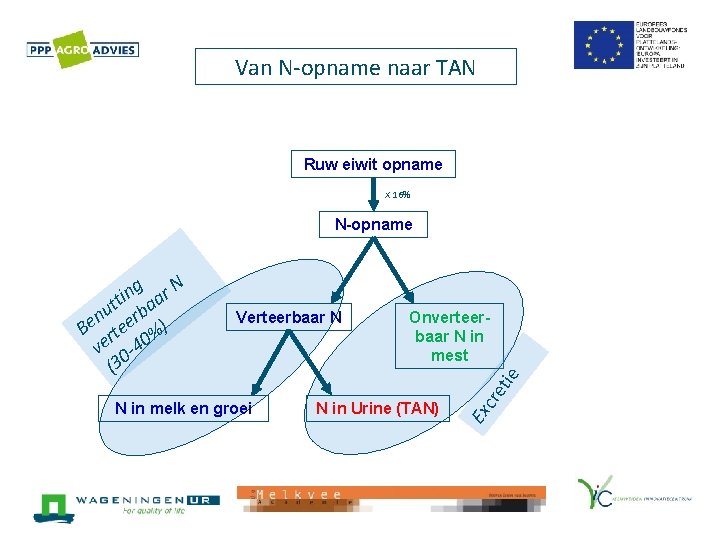 Van N-opname naar TAN Ruw eiwit opname X 16% N-opname N in Urine (TAN)