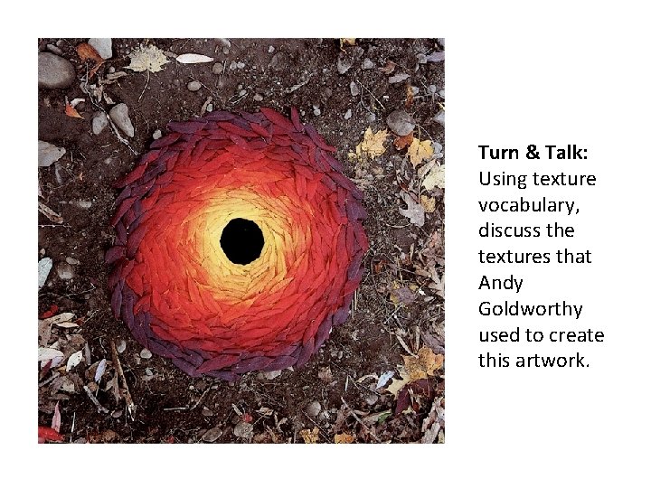 Turn & Talk: Using texture vocabulary, discuss the textures that Andy Goldworthy used to