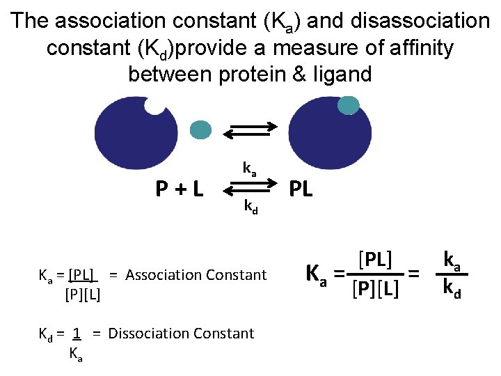 The association constant (Ka) and disassociation constant (Kd)provide a measure of affinity between protein
