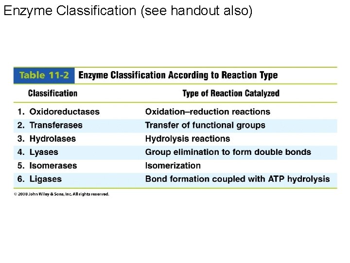 Enzyme Classification (see handout also) 