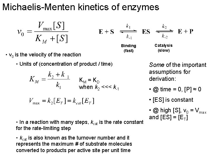 Michaelis-Menten kinetics of enzymes • v 0 is the velocity of the reaction Binding