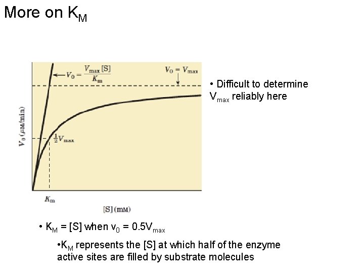 More on KM • Difficult to determine Vmax reliably here • KM = [S]