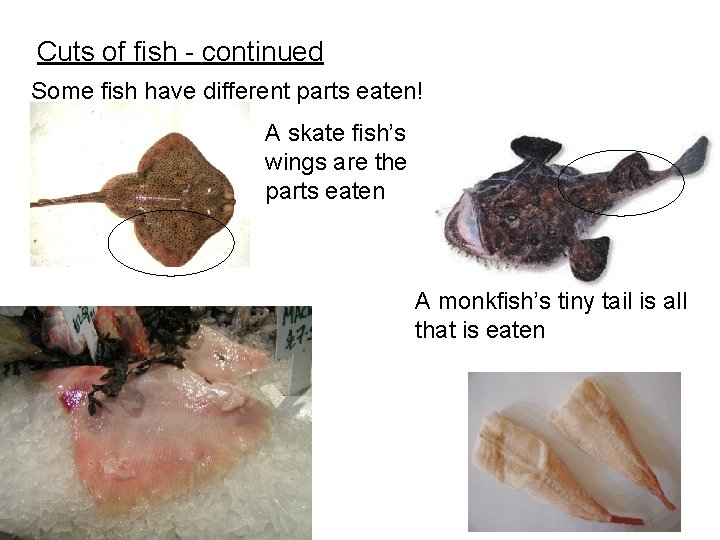 Cuts of fish - continued Some fish have different parts eaten! A skate fish’s