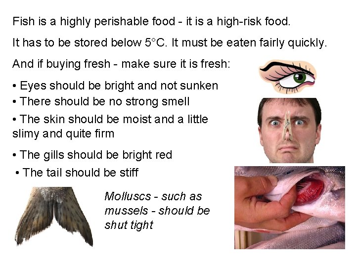 Fish is a highly perishable food - it is a high-risk food. It has