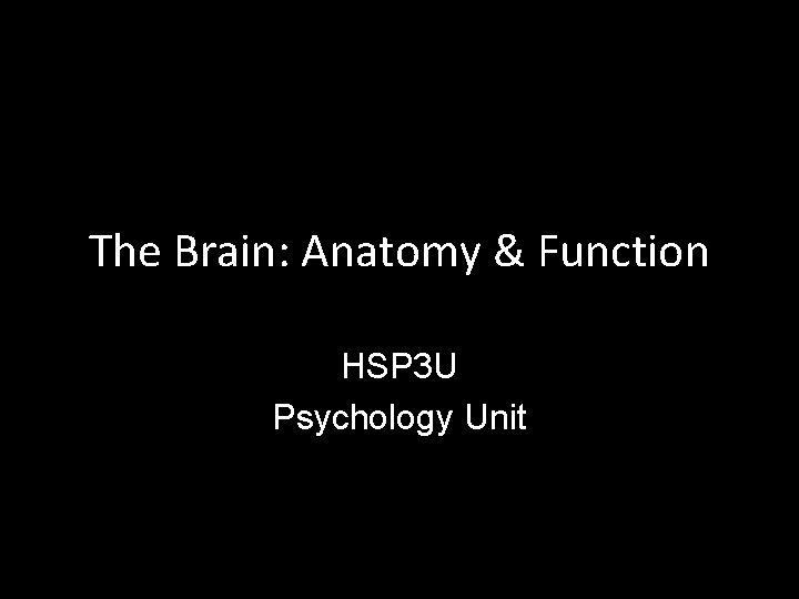 The Brain: Anatomy & Function HSP 3 U Psychology Unit 