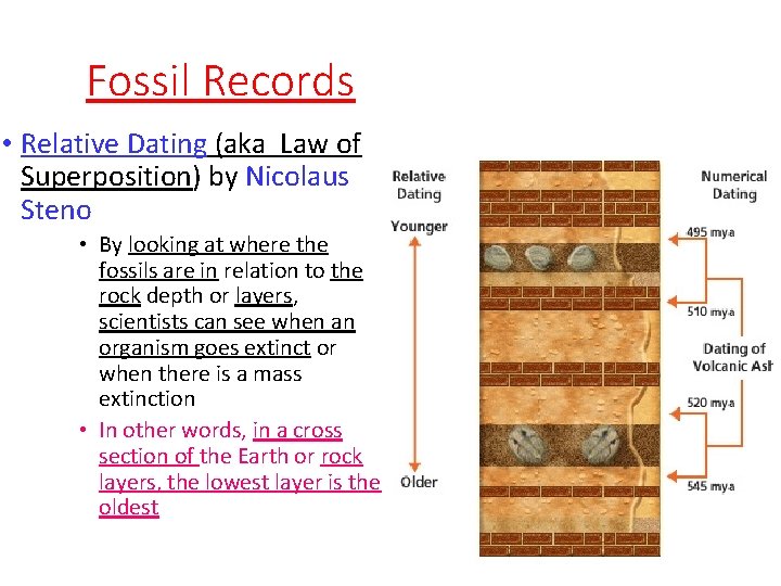 Fossil Records • Relative Dating (aka Law of Superposition) by Nicolaus Steno • By