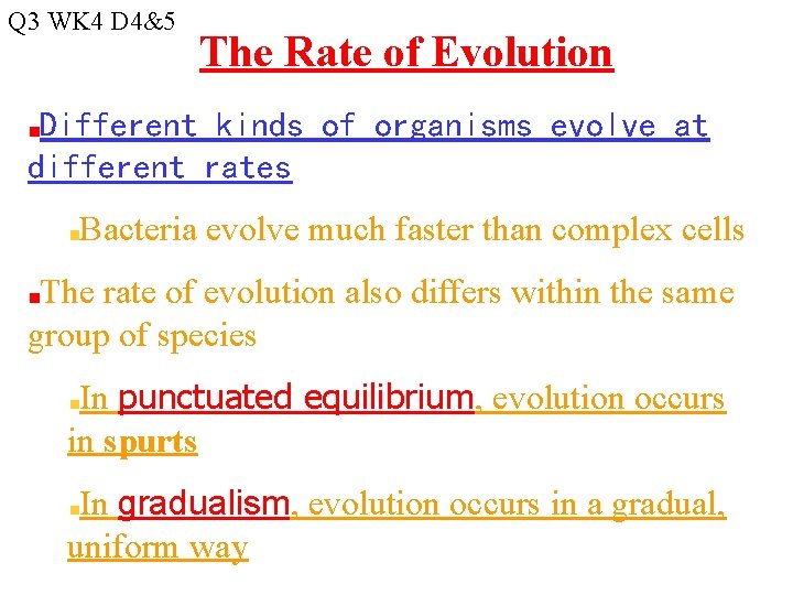 Q 3 WK 4 D 4&5 The Rate of Evolution Different kinds of organisms