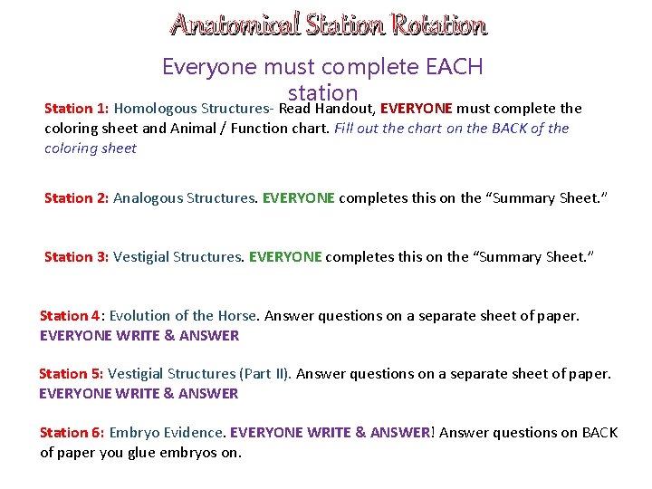 Anatomical Station Rotation Everyone must complete EACH station Station 1: Homologous Structures- Read Handout,