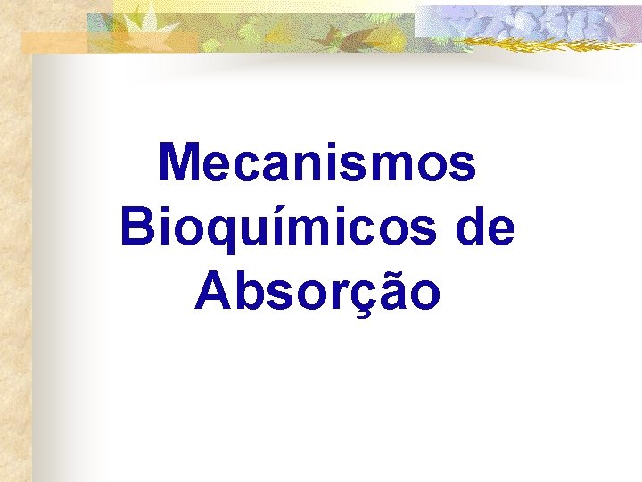 Mecanismos Bioquímicos de Absorção 