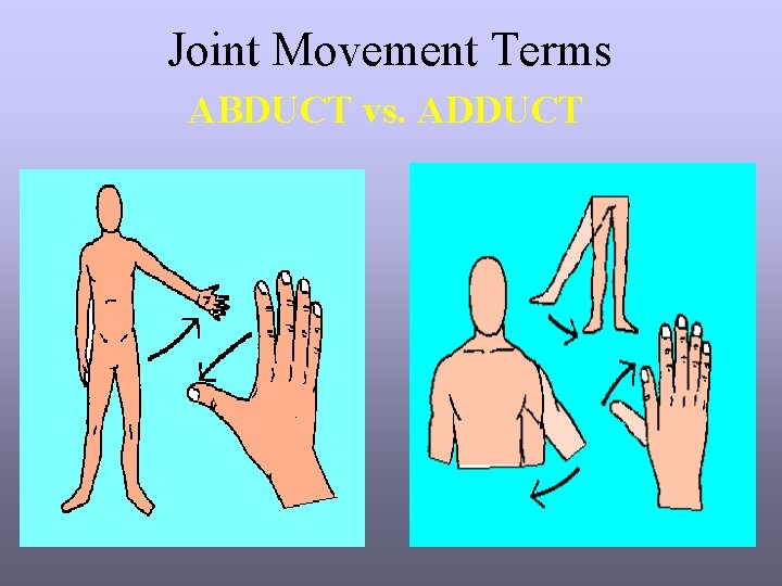 Joint Movement Terms ABDUCT vs. ADDUCT 