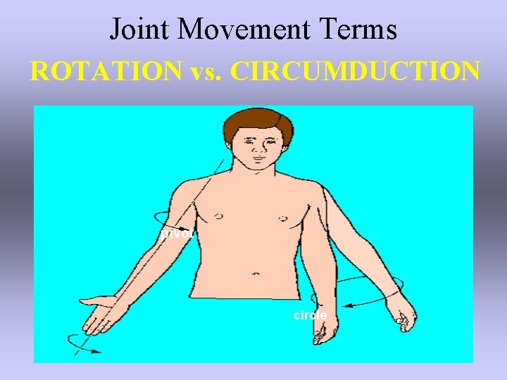 Joint Movement Terms ROTATION vs. CIRCUMDUCTION pivot circle 