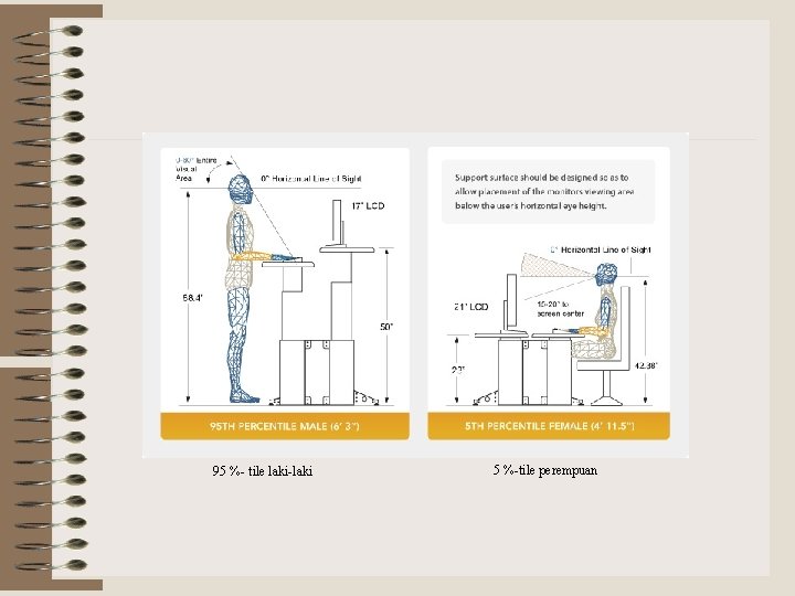 95 %- tile laki-laki 5 %-tile perempuan 