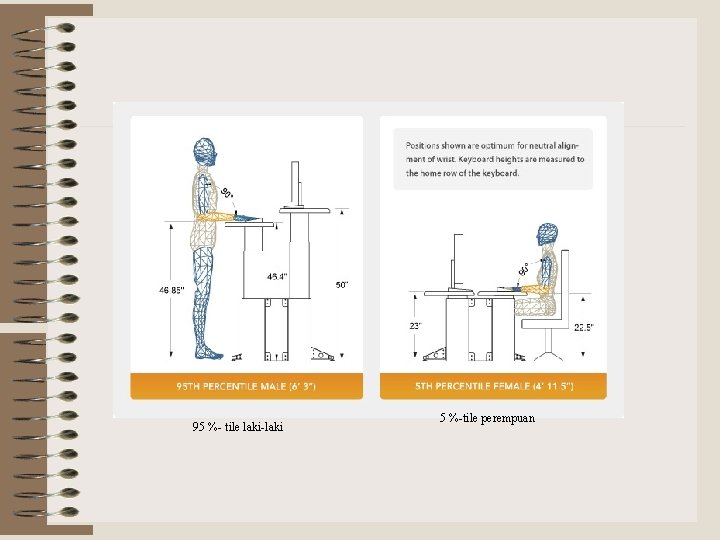 95 %- tile laki-laki 5 %-tile perempuan 