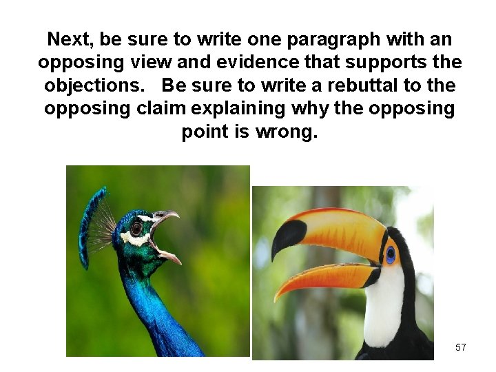 Next, be sure to write one paragraph with an opposing view and evidence that