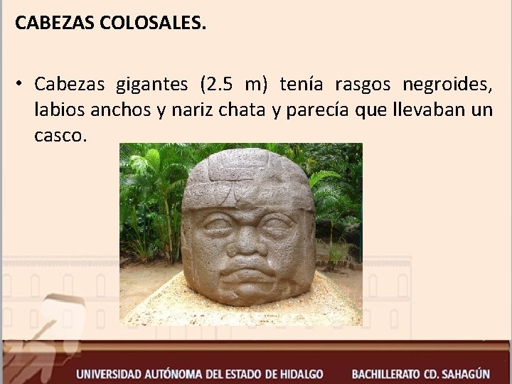 CABEZAS COLOSALES. • Cabezas gigantes (2. 5 m) tenía rasgos negroides, labios anchos y