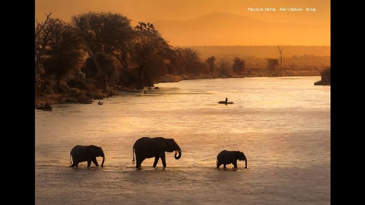 Theodore Mattas - River shadows - Kenya 