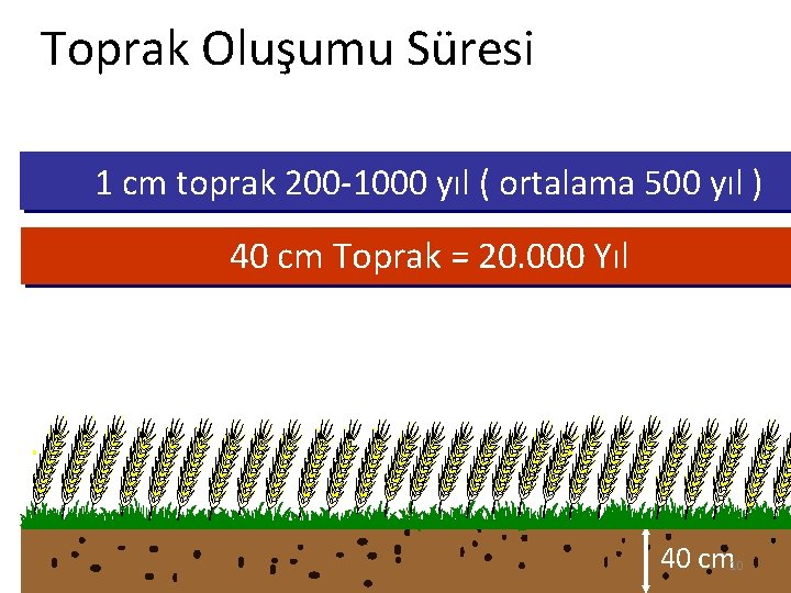 Toprak Oluşumu Süresi 1 cm toprak 200 -1000 yıl ( ortalama 500 yıl ) Toprak Oluşumu Süresi 1 cm toprak 200 -1000 yıl ( ortalama 500 yıl )