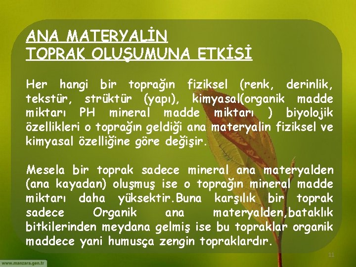 ANA MATERYALİN TOPRAK OLUŞUMUNA ETKİSİ Her hangi bir toprağın fiziksel (renk, derinlik, tekstür, strüktür ANA MATERYALİN TOPRAK OLUŞUMUNA ETKİSİ Her hangi bir toprağın fiziksel (renk, derinlik, tekstür, strüktür