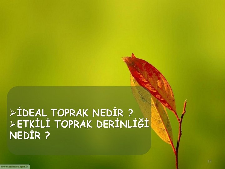 ØİDEAL TOPRAK NEDİR ? ØETKİLİ TOPRAK DERİNLİĞİ NEDİR ? 19 ØİDEAL TOPRAK NEDİR ? ØETKİLİ TOPRAK DERİNLİĞİ NEDİR ? 19
