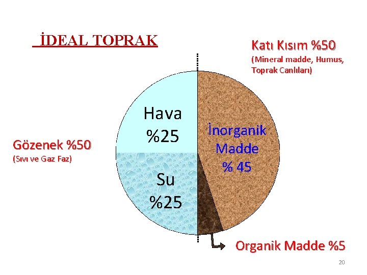 İDEAL TOPRAK Katı Kısım %50 (Mineral madde, Humus, Toprak Canlıları) Gözenek %50 Hava %25