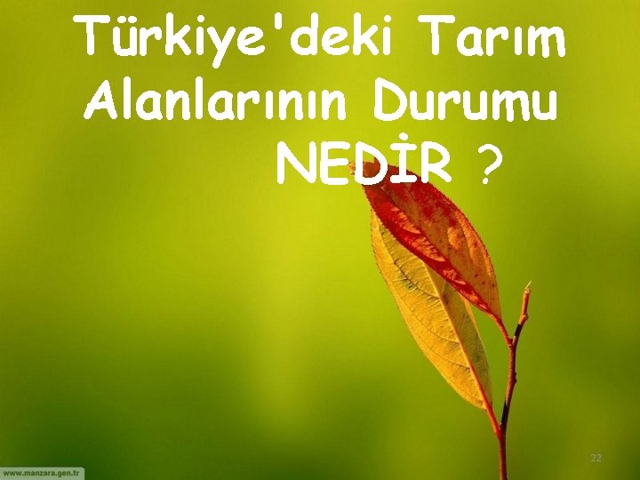 Türkiye'deki Tarım Alanlarının Durumu NEDİR ? 22 