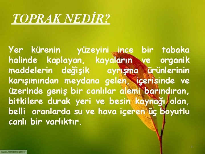 TOPRAK NEDİR? Yer kürenin yüzeyini ince bir tabaka halinde kaplayan, kayaların ve organik maddelerin