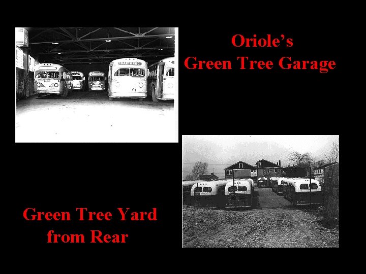 Oriole’s Green Tree Garage Green Tree Yard from Rear 