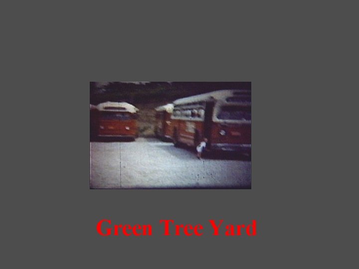 Green Tree Yard 