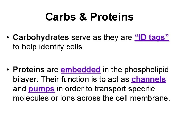 Carbs & Proteins • Carbohydrates serve as they are “ID tags” to help identify