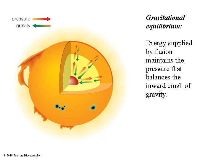 Gravitational equilibrium: Energy supplied by fusion maintains the pressure that balances the inward crush