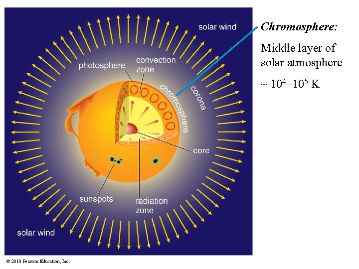 Chromosphere: Middle layer of solar atmosphere ~ 104– 105 K © 2010 Pearson Education,