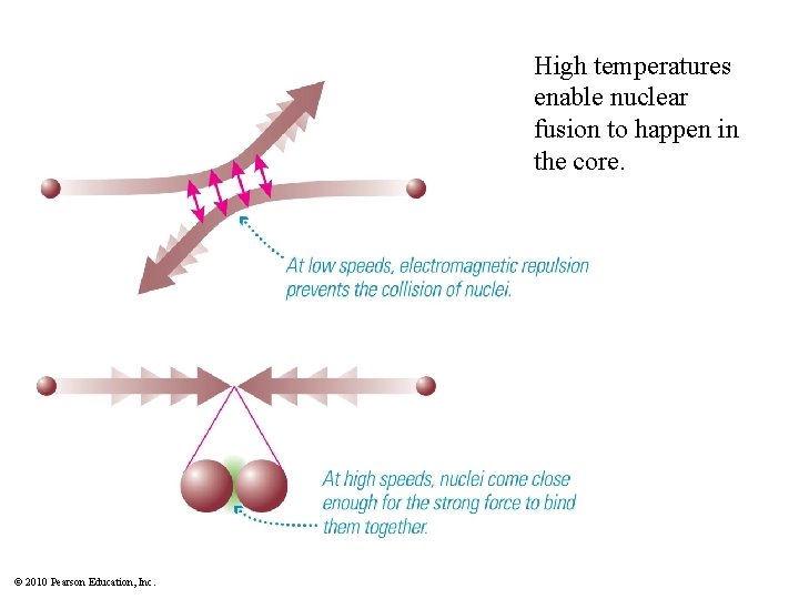 High temperatures enable nuclear fusion to happen in the core. © 2010 Pearson Education,
