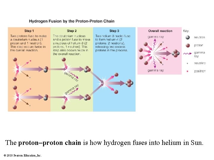 The proton–proton chain is how hydrogen fuses into helium in Sun. © 2010 Pearson